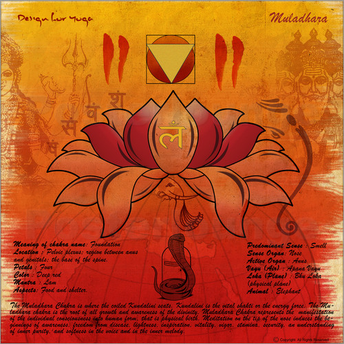 muladhara-chakra.jpg