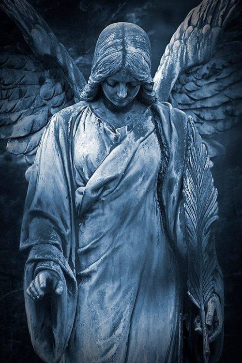 angel.jpg