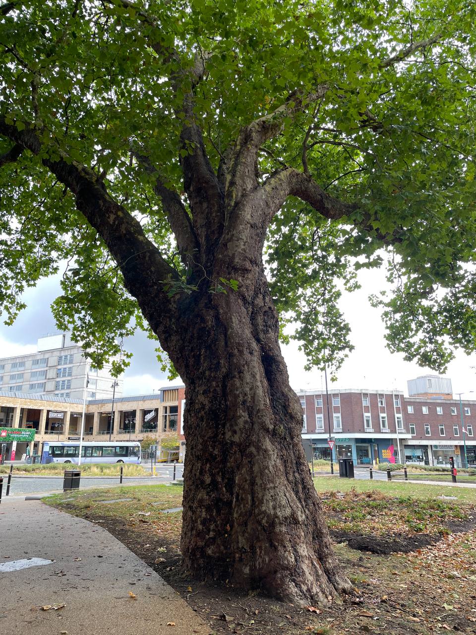 Photo 2025 09 12 10 24 14